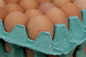 Salmonella na jajach znanej marki. Nie jedz, jeśli masz je w lodówce!-18458