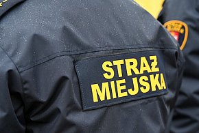 Zapuka strażnik, zapłacisz karę. Ruszyły kontrole w całej Polsce-19084
