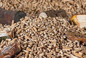 Drożeje popularny opał. Miliony Polaków dostaną po kieszeni tej zimy-19176