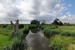 Co dalej z nowym parkiem narodowym? Minister klimatu zdradza plan po wecie-19235