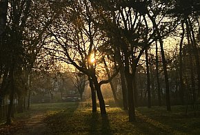 Nadchodzi najkrótszy dzień w 2025 roku. Sprawdź, kiedy przypadnie-19475