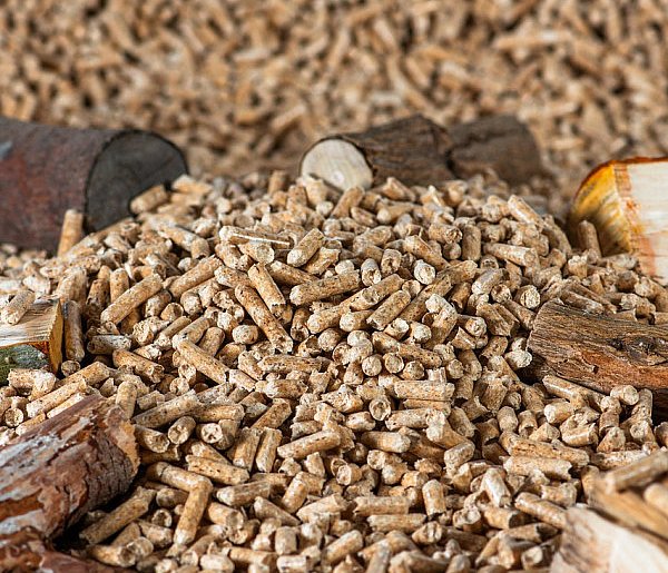 Drożeje popularny opał. Miliony Polaków dostaną po kieszeni tej zimy-19176