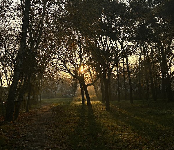 Nadchodzi najkrótszy dzień w 2025 roku. Sprawdź, kiedy przypadnie-19475