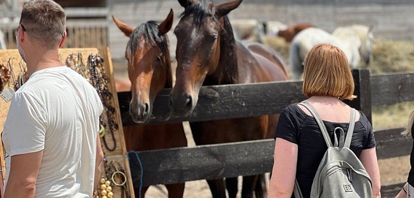 Dlaczego warto angażować się w pomoc zwierzętom