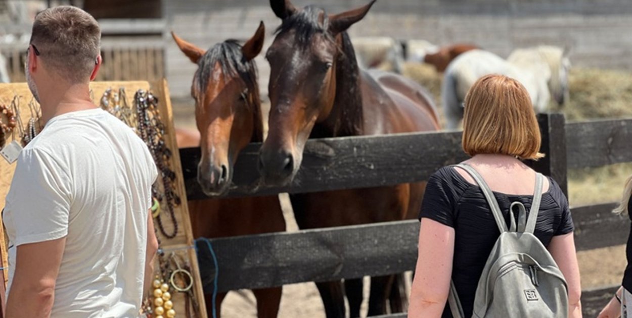 Dlaczego warto angażować się w pomoc zwierzętom